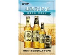 【皖商酒业】黑枸杞啤酒面向全国招募城市合伙人图3